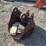#52094-•-case-18”-bucket-inv#52094-image-1