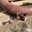 case-ih-3-image-16