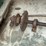 #162-•-shaft,-sprockets-and-chain-image-4