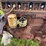 case-parts-tractor-image-16