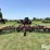case-ih-496-image-10