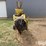 seed-cleaner-image-2