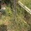 #227-•-fuel-tank-image-8