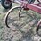 case-ih-55-image-9