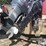 2000-lund-2150-baron-magnum-boat-&-trailer-image-18