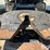 1999-cummins-m11-image-17
