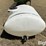 wylie-300-image-4