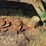john-deere-275-image-16