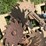john-deere-1780-image-16