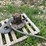 #255-•-hydraulic-pump-image-6
