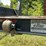 #600-•-2023-fmi-log-trailer-image-30