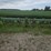 john-deere-6-image-2