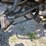 #54425-•-2014-yamaha-viking-700-utv-5y4am69y6ea101458-inv#54425-image-19