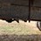 gmc-6500-truck-image-13