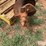 3-pt-post-hole-auger-image-11