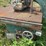 #141-•-diehl-750-straight-line-ripsaw-image-9