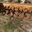 international-cub-154-lo-boy-image-10