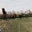 dokin-cultivator-image-3