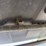 #54425-•-2014-yamaha-viking-700-utv-5y4am69y6ea101458-inv#54425-image-43