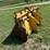 deere-544d-image-8