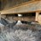 #54420-•-2023-m.-b.-bowen-company-t/a-32'-x-102"-gooseneck-flatbed-trailer-7vla3fr29pn000800-inv#54420-image-17