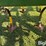 john-deere-980-image-20