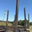 2021-magnolia-log-image-8
