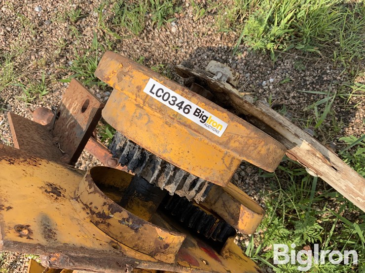 international-cub-lo-boy-image-10