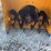cub-cadet-2x-524-swe-snow-blower-image-10