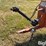 westfield-mk130-71-13"x71'-swing-hopper-grain-auger-image-9