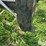 bush-hog-2400qt-image-17