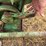 john-deere-37-image-14