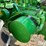 1952-john-deere-g-image-9