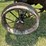john-deere-d-image-24