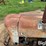 2000-ford-2000-image-10