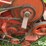 massey-ferguson-1859-image-18