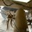 2000-timpte-grain-hopper-image-13