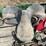 race-horse-training-saddles-image-9