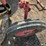 international-cub-image-25