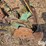 john-deere-350-image-16