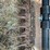 hesston-1270-image-14