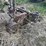 john-deere-b-image-4