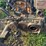 john-deere-b-image-11