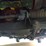 #146-•-offered-at-no-reserve-|-1969-mgb-gt-image-18