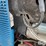 miller-trailblazer-image-14