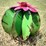 #111-•-metal-art---small-green-cactus-w/pink-flower-image-1