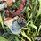 wil-rich-quad-x-image-9