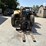 2016-caterpillar-tl642d-image-7