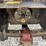 1978-allis-chalmers-7020-image-13