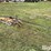 gleaner-830-image-1